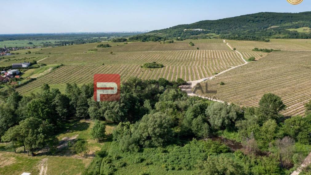 Jednoizbový byt so záhradou v Prémiovej novostavbe Pezinok