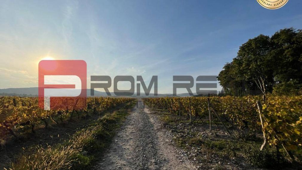 Bývanie v srdci KARPÁT - Pezinok