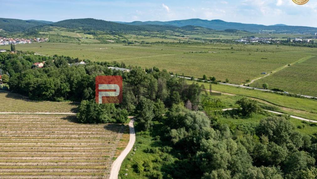 PREDAJ 4 izbového bytu v Prémiovej novostavbe Pezinok A0+