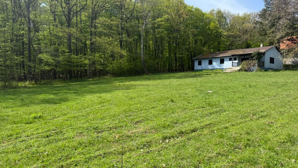 Na PREDAJ krásny slnečný pozemok s chatkou neďaleko Bratislavy