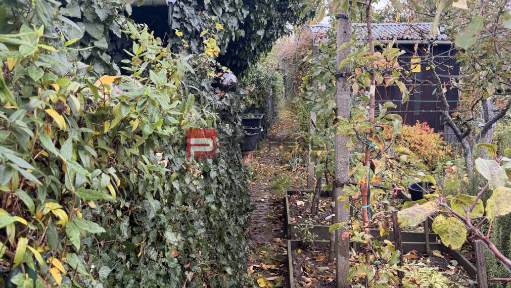 Predaj chaty v Pezinku – Fajgalská cesta