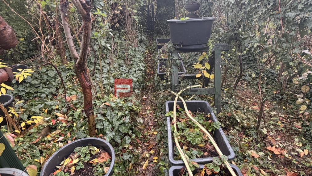 Znížená cena!! Predaj záhrady v Pezinku – Fajgalská cesta