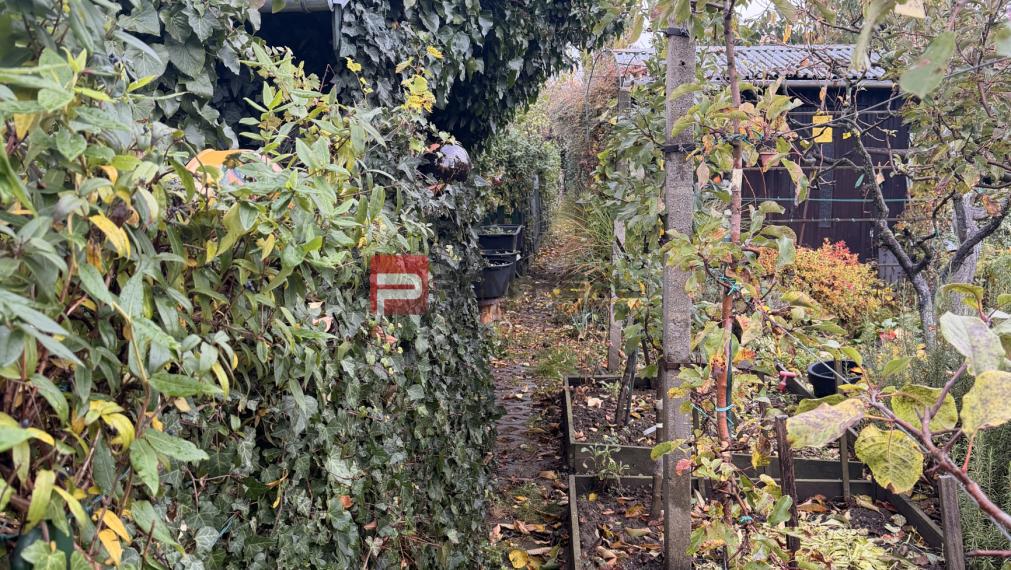 Predaj záhrady s chatkou v Pezinku – Fajgalská cesta