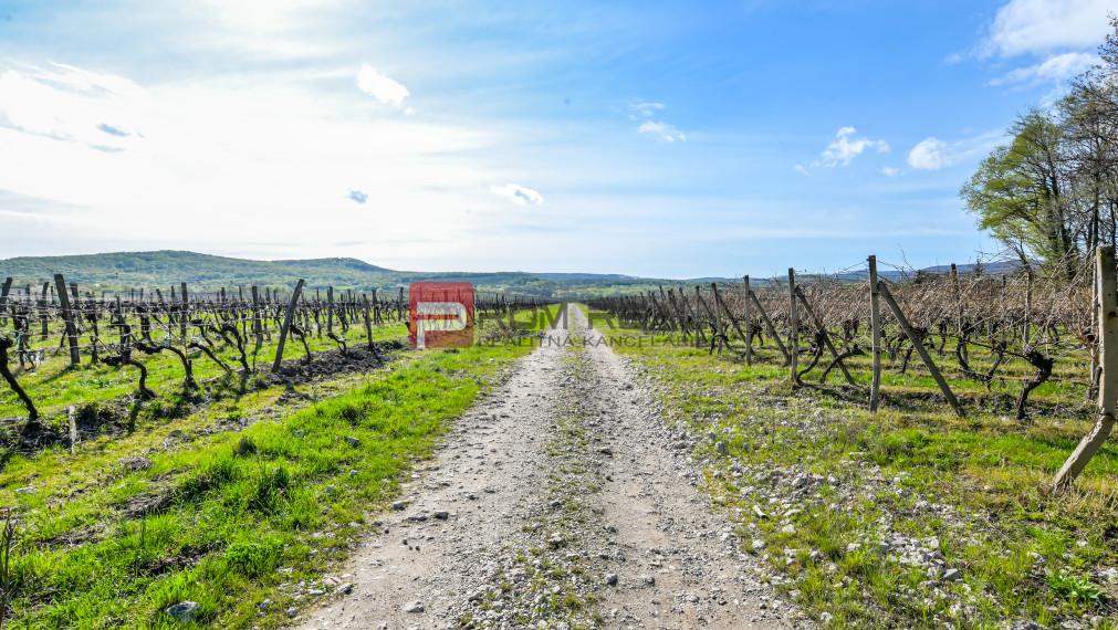 Luxusná Vila na predaj