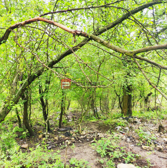 Investičný pozemok v Dúbravke - Krčace - parcela určená na výstavbu - platné ÚPI k dispozícii