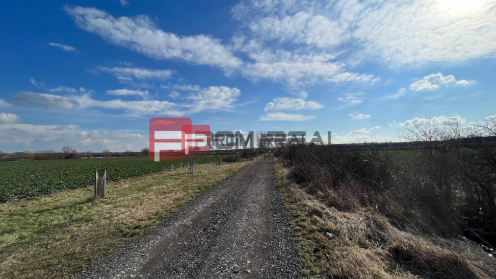 Orná pôda 5 662 m2 k.ú. Pezinok, dostupná po poľnej ceste | NA PREDAJ