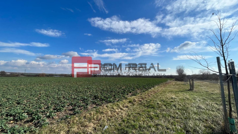 Orná pôda 5 662 m2 k.ú. Pezinok, dostupná po poľnej ceste | NA PREDAJ