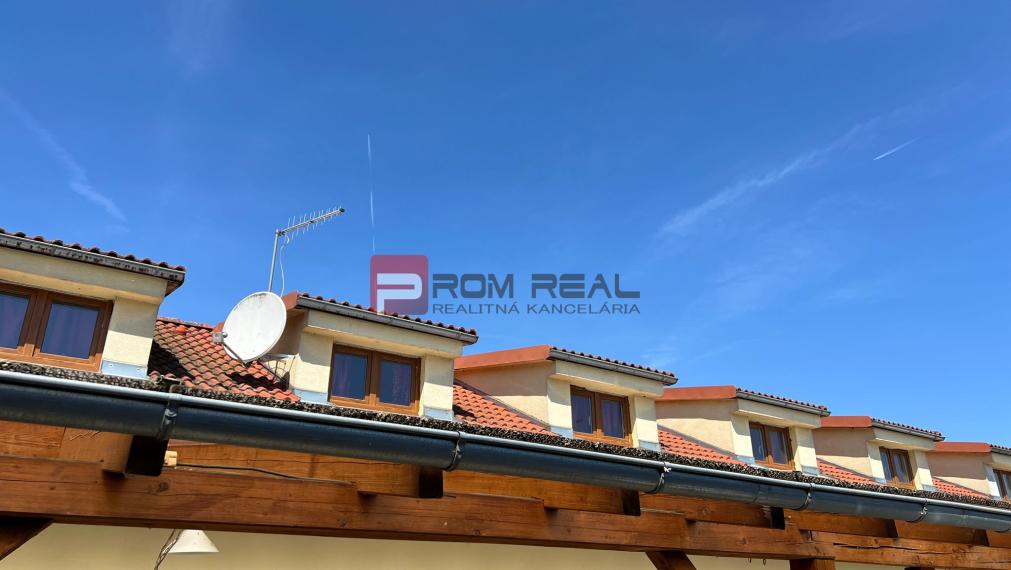 Sale Hotels and pensions, Hotels and pensions, Košolná, Trnava, Slovak