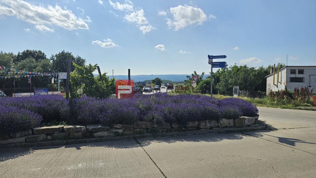 Na prenájom pozemok Pezinok 5063m2