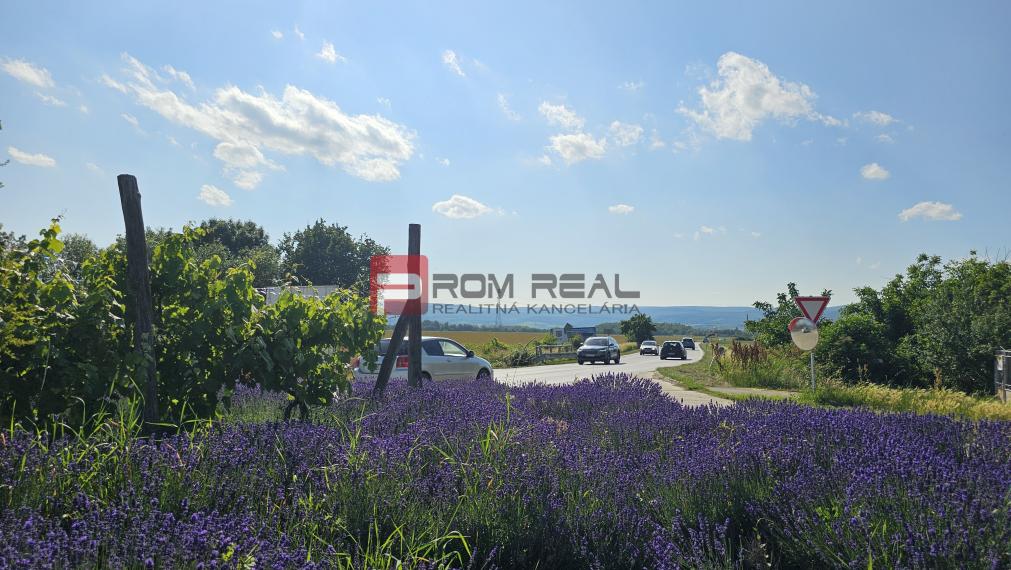 Na prenájom pozemok Pezinok 3118m2