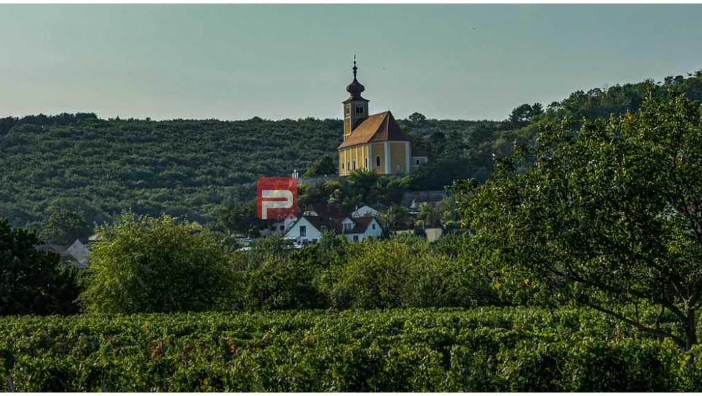 Rezidencia LEISSERHOF Dom 1 Byt 1 Prízemie