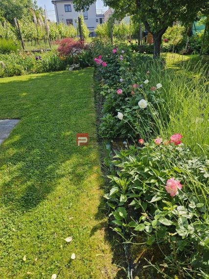 Na predaj rodinný dom Pezinok centrum