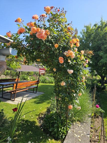 Na predaj rodinný dom Pezinok centrum