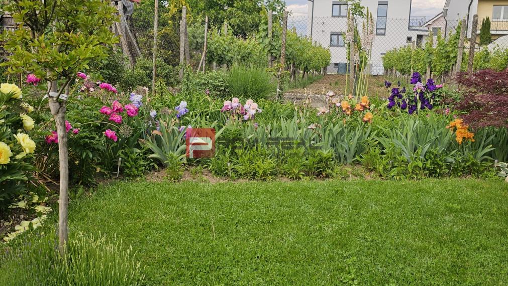Na predaj rodinný dom Pezinok centrum