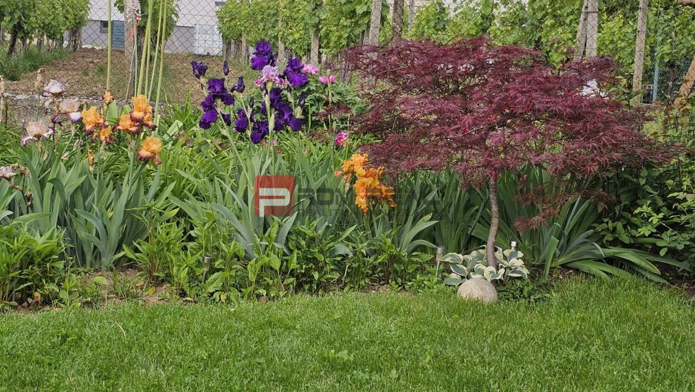 Rodinný dom na predaj Pezinok na skok od centra
