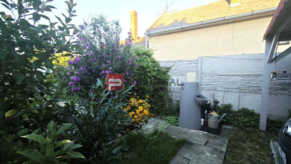 Predaj zaujímavého RD, Veľký Grob, neďaleko Slnečných jazier