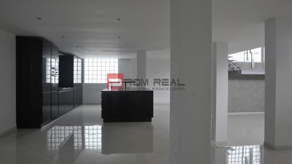 Unique TOP Villa BA Lamač - Living Business Studio Gallery