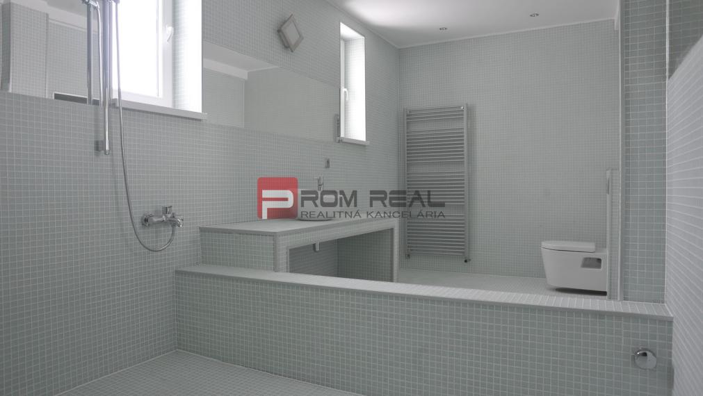 Unique TOP Villa BA Lamač - Living Business Studio Gallery