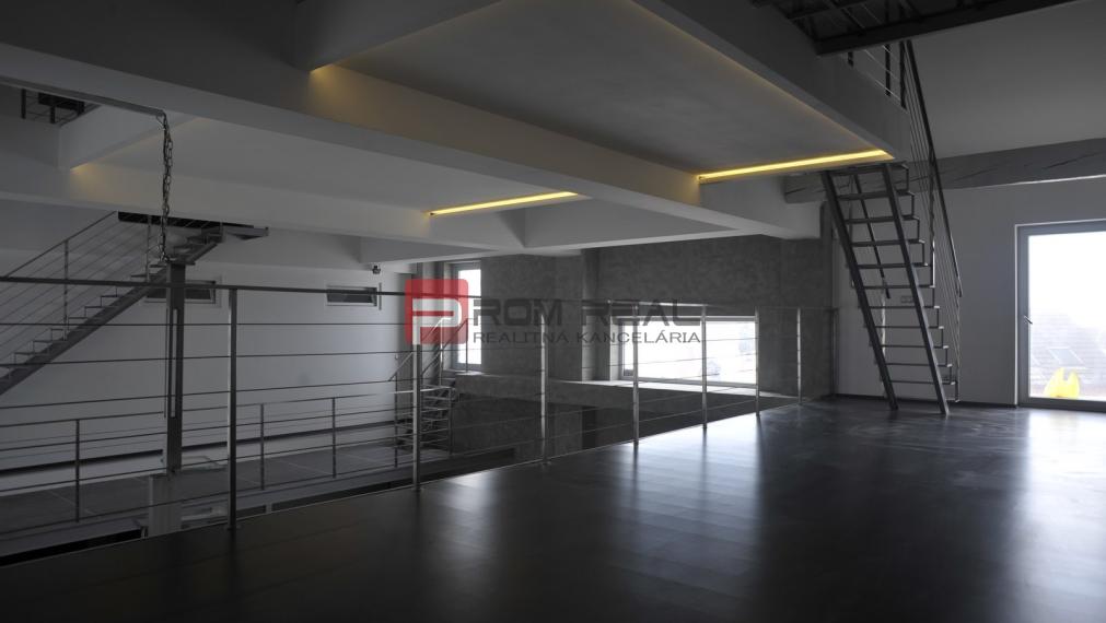 Unique TOP Villa BA Lamač - Living Business Studio Gallery