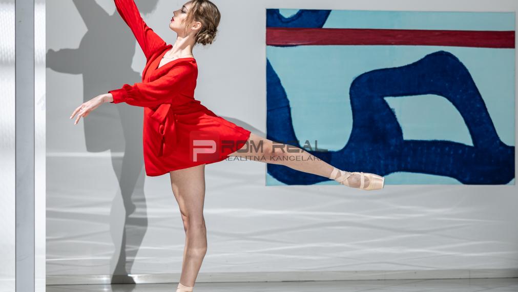 Unique TOP Villa BA Lamač - Living Business Studio Gallery