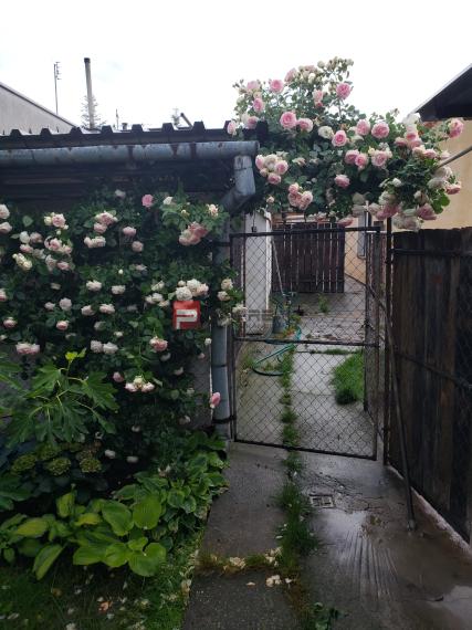 Pozemok 745 m2 Pezinok pri centre s rodinným domom