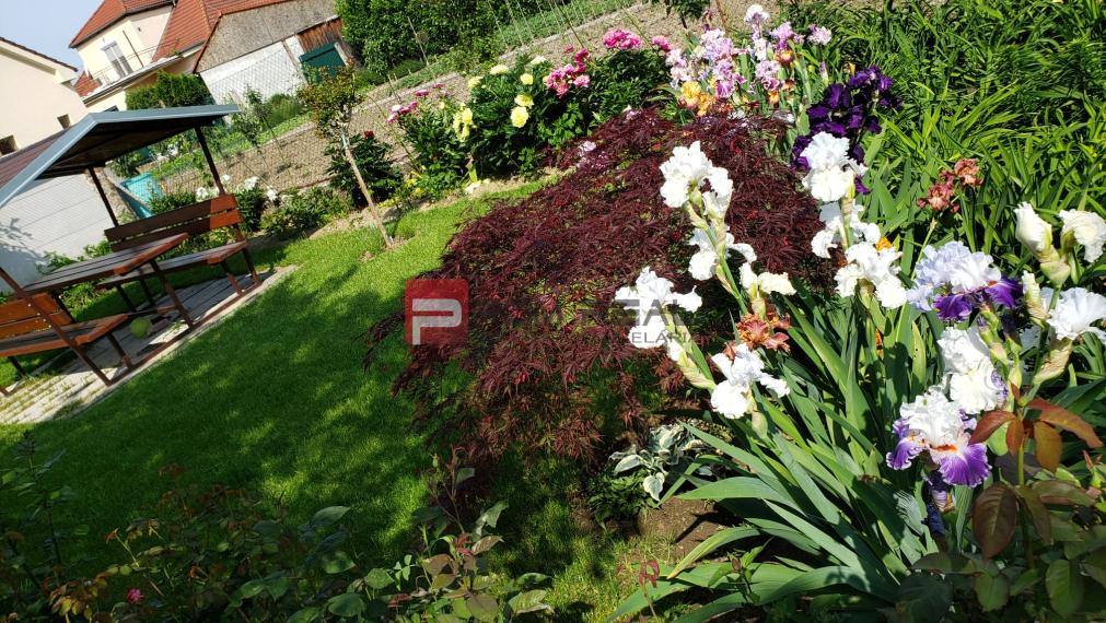 Pozemok 745 m2 Pezinok pri centre s rodinným domom