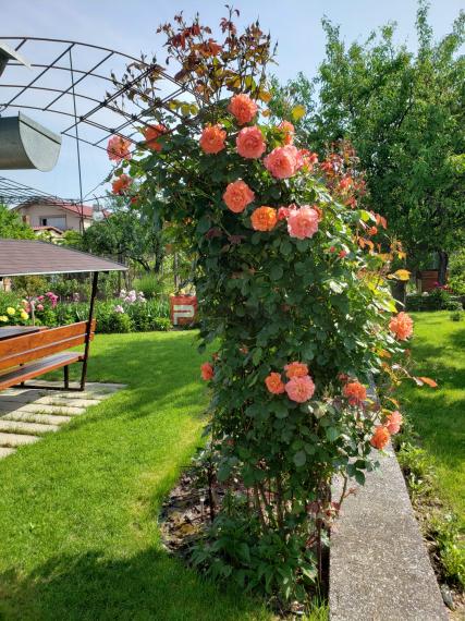 Pozemok 745 m2 Pezinok pri centre s rodinným domom