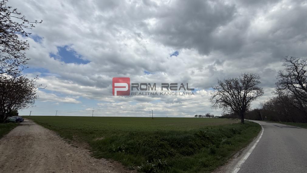 Pozemok priemyselná a výrobná výstavba 26415 m2 Vištuk
