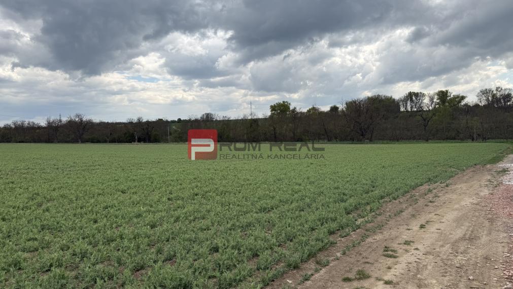 Pozemok priemyselná a výrobná výstavba 26415 m2 Vištuk