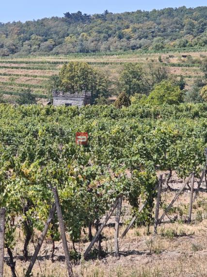 Pozemok Modra - 3772 m2 s prípojkami a cestou