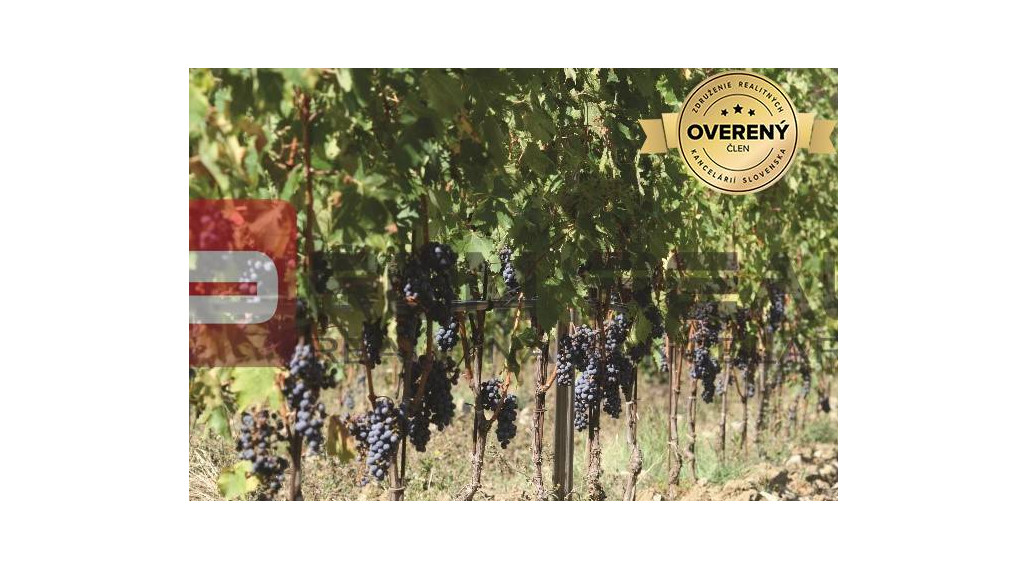 PREDAJ výnimočnej vinice