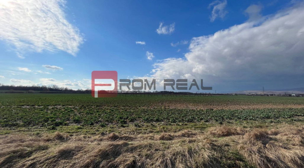 Orná pôda 5 662 m2 k.ú. Pezinok, dostupná po poľnej ceste | NA PREDAJ