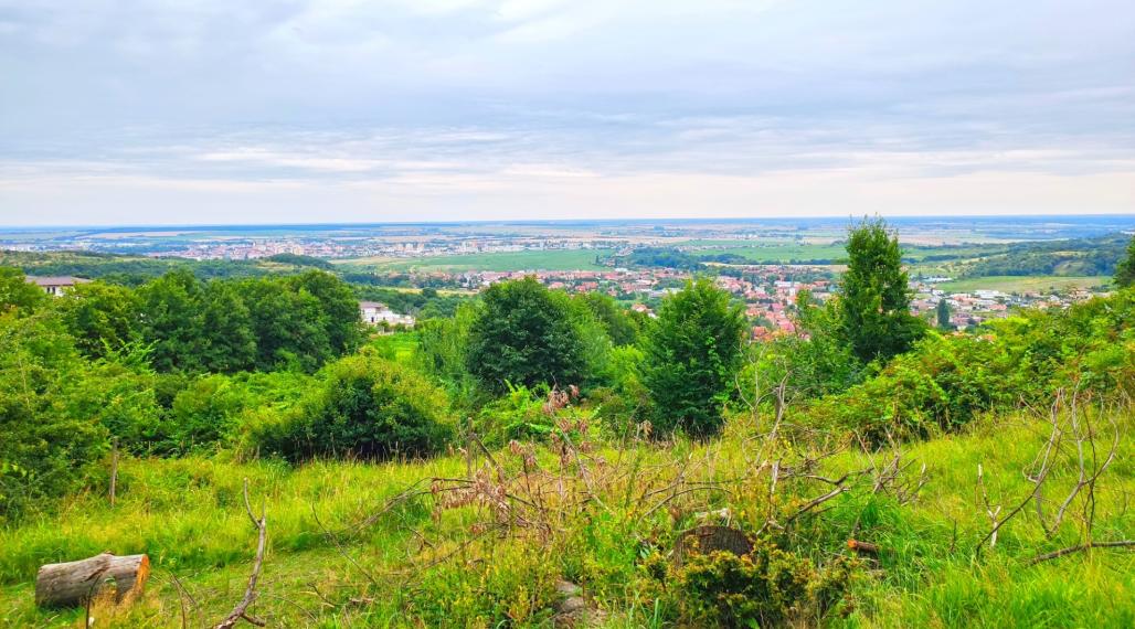 Exkluzivny pozemok Limbachu