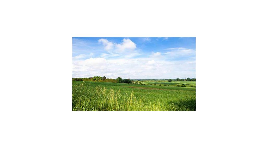 Predaj ornej pôdy v Bratislave – Čunovo