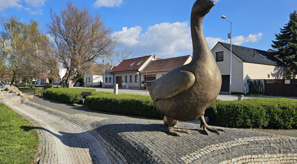 POZEMOK na prenájom 800m2
