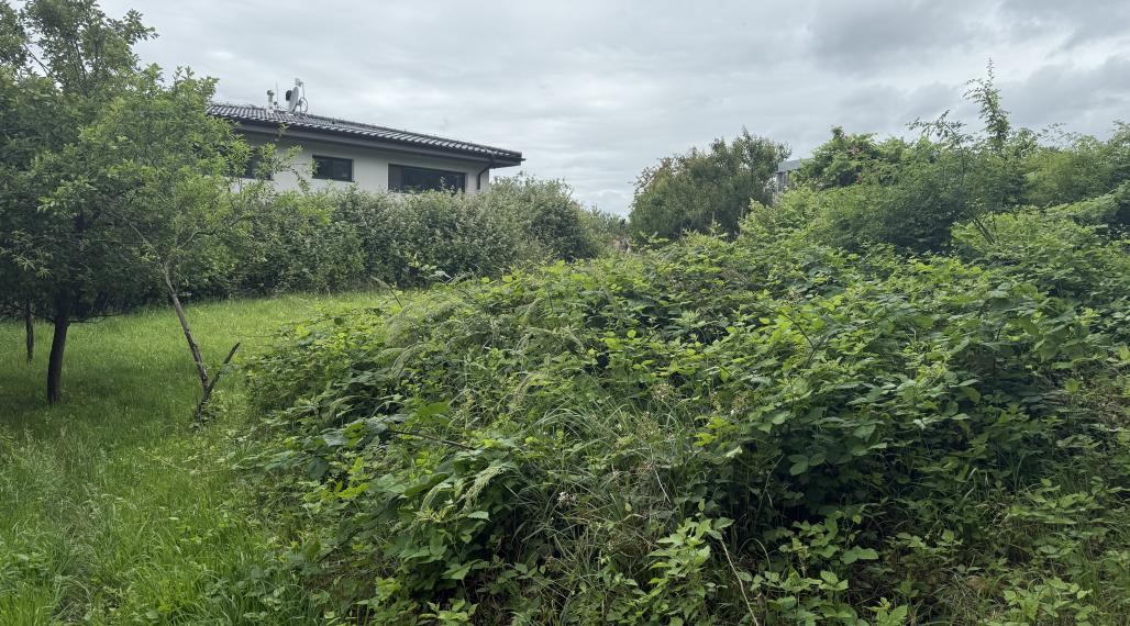 Rovinatý ideálny stavebný pozemok 848 m2 Marianka