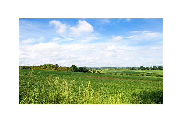 Predaj ornej pôdy v Bratislave – Čunovo